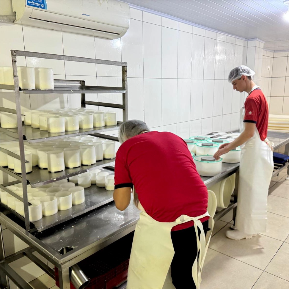 Proceso de moldeado — Quesos Cremo Frossard